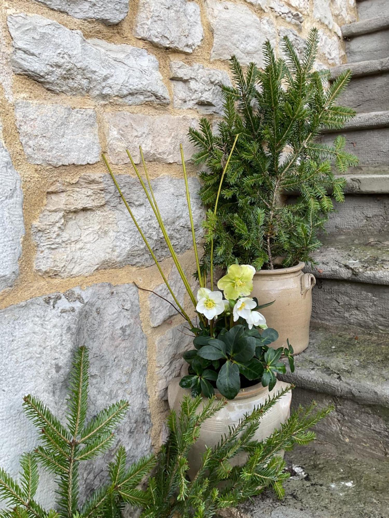 Au Charmant Chablis Champagnole Buitenkant foto